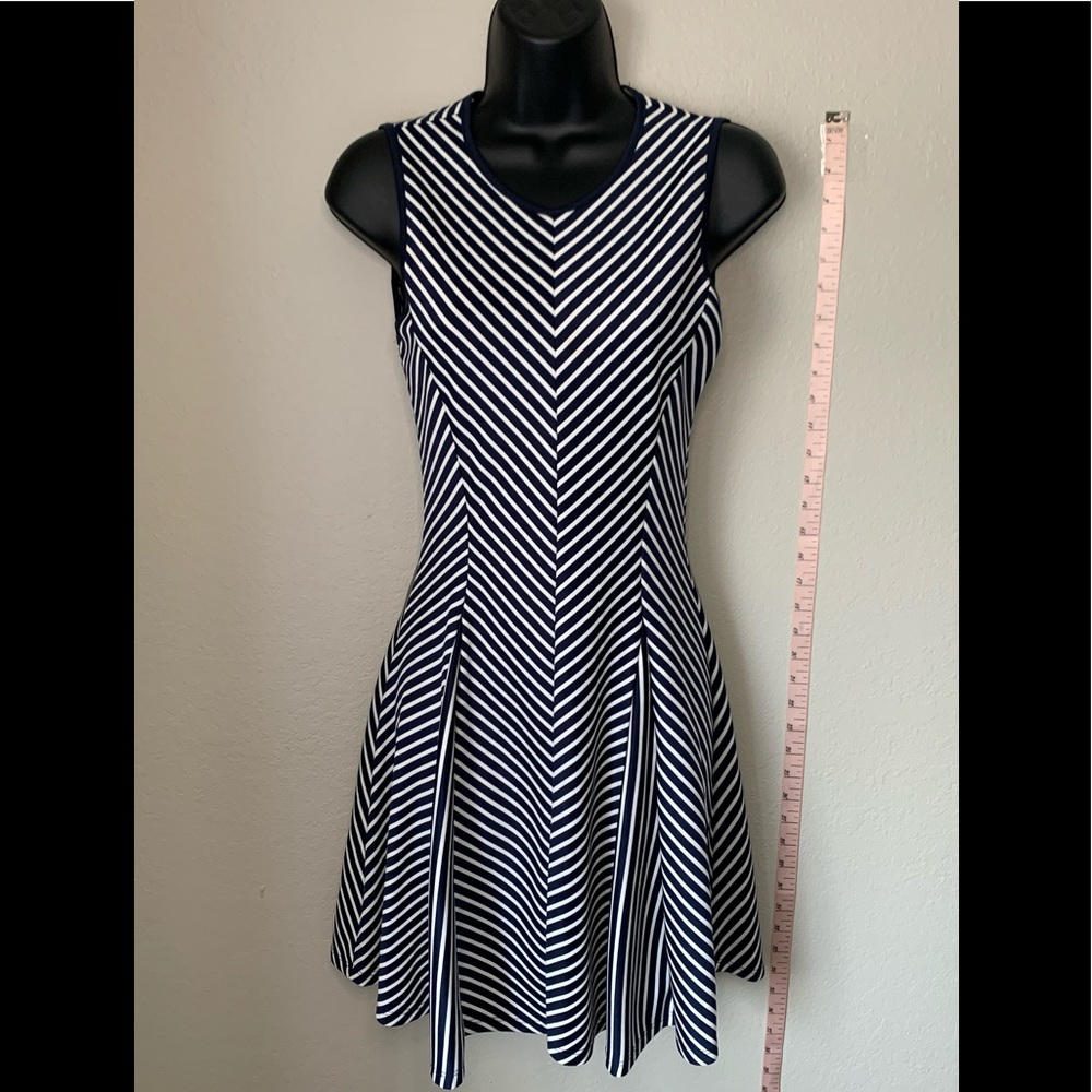 Navy + White Striped Fit and Flare Dress